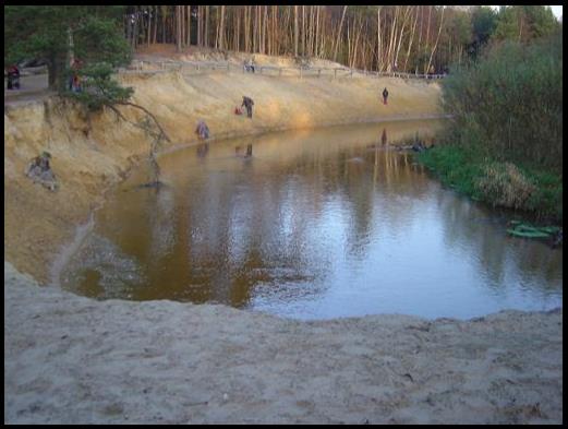 De dinkel in het Lutterzand